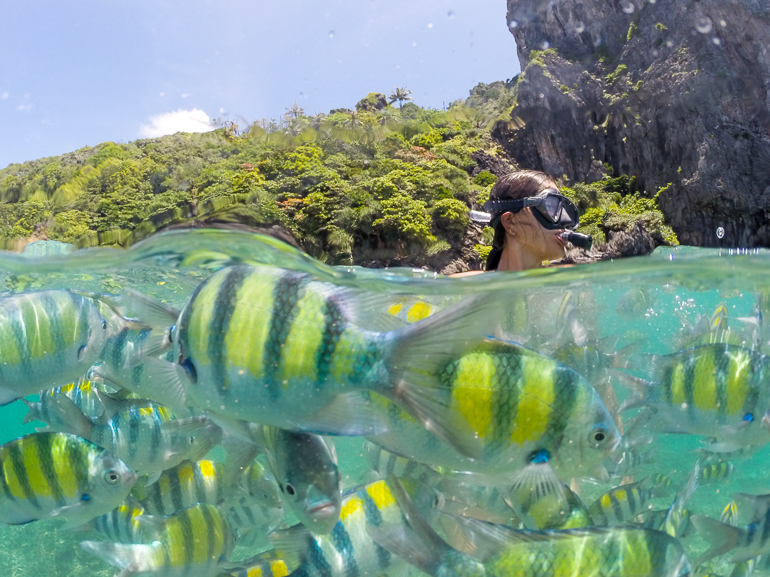 Mergulhando com peixes coloridos na Tailândia