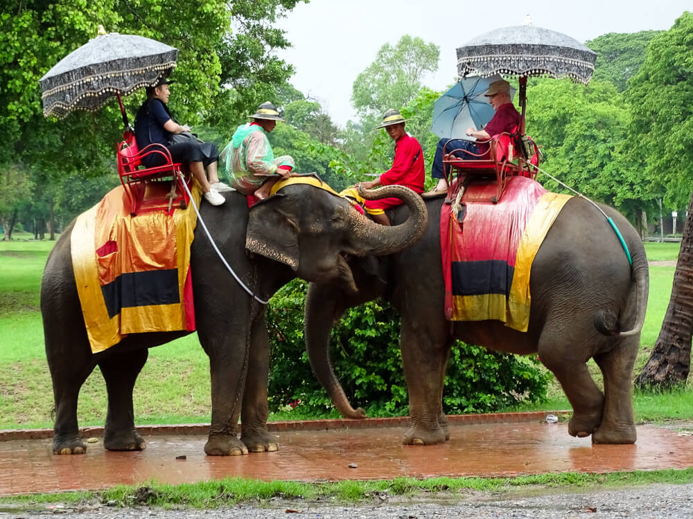 Turistas andando em Elefantes em Ayutthaya