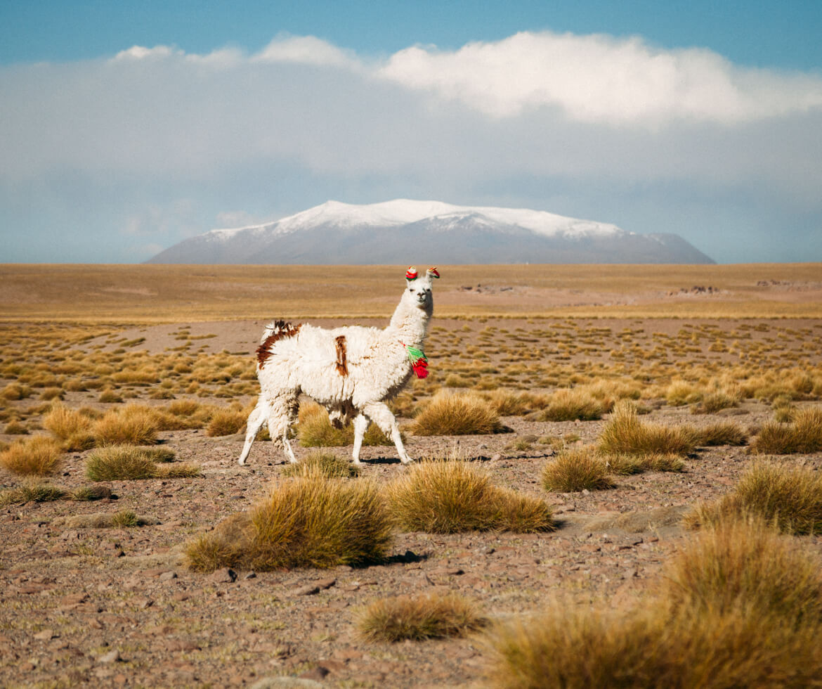 Chile Bolívia Peru - Roteiro Mochilão