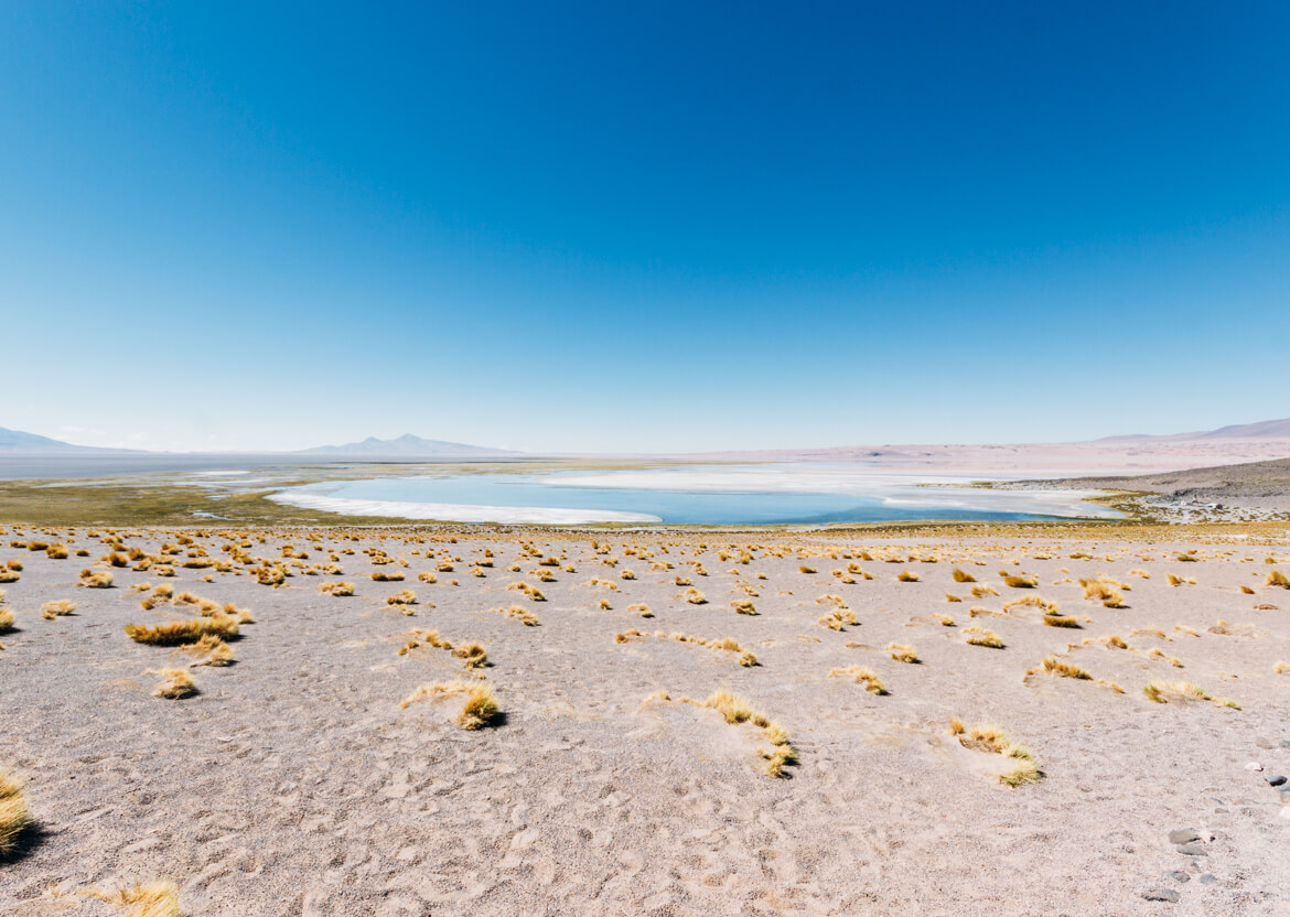 Salar de Tara - um dos passeios mais incríveis do Atacama