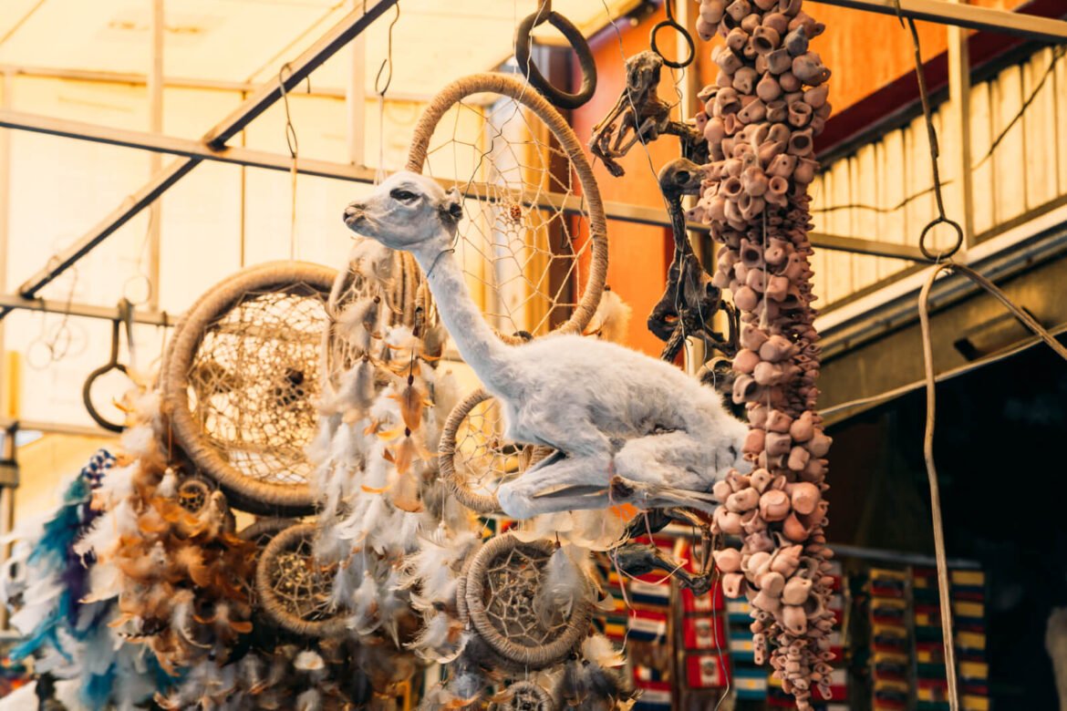 Mercado das Bruxas: Conheça um mercado bem diferente em La Paz