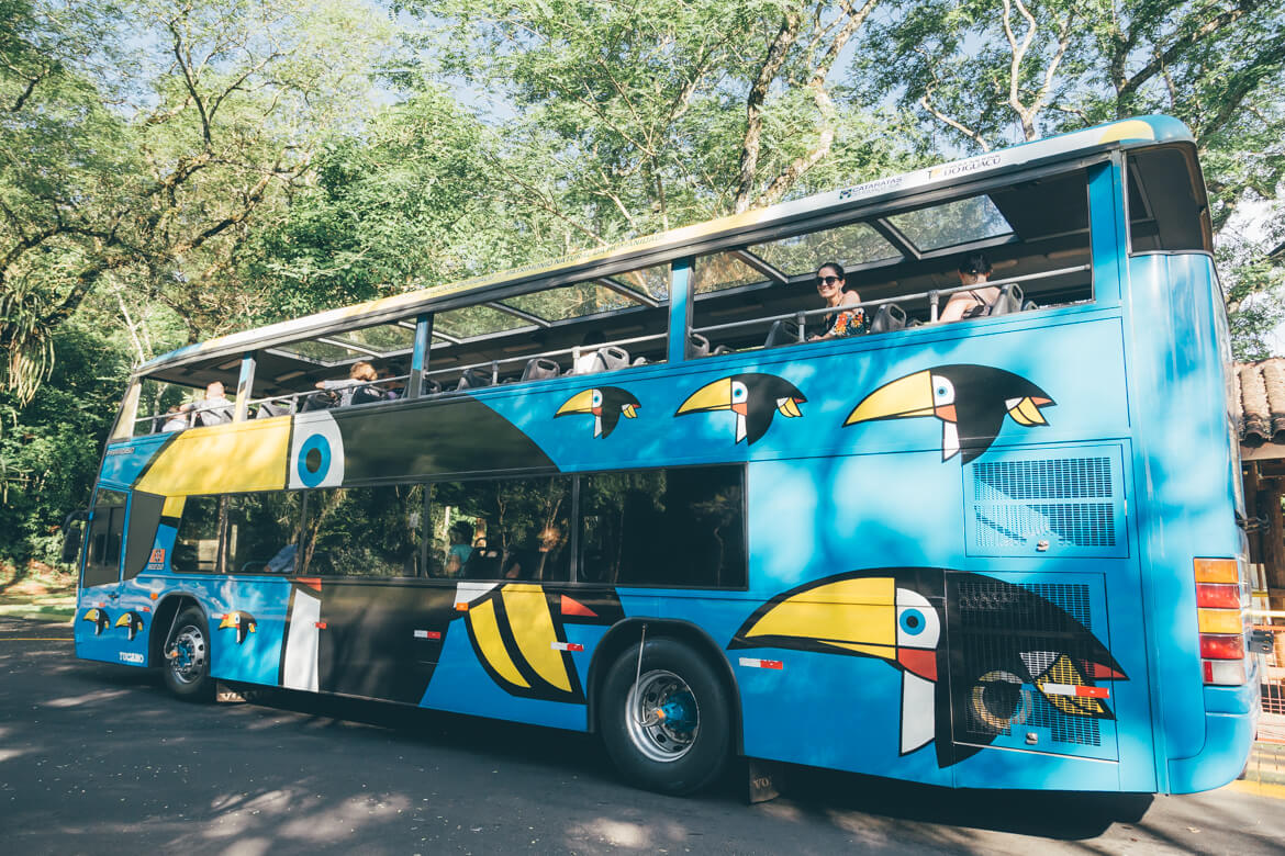 ônibus estiloso de tucanos no Parque Nacional de Iguazu