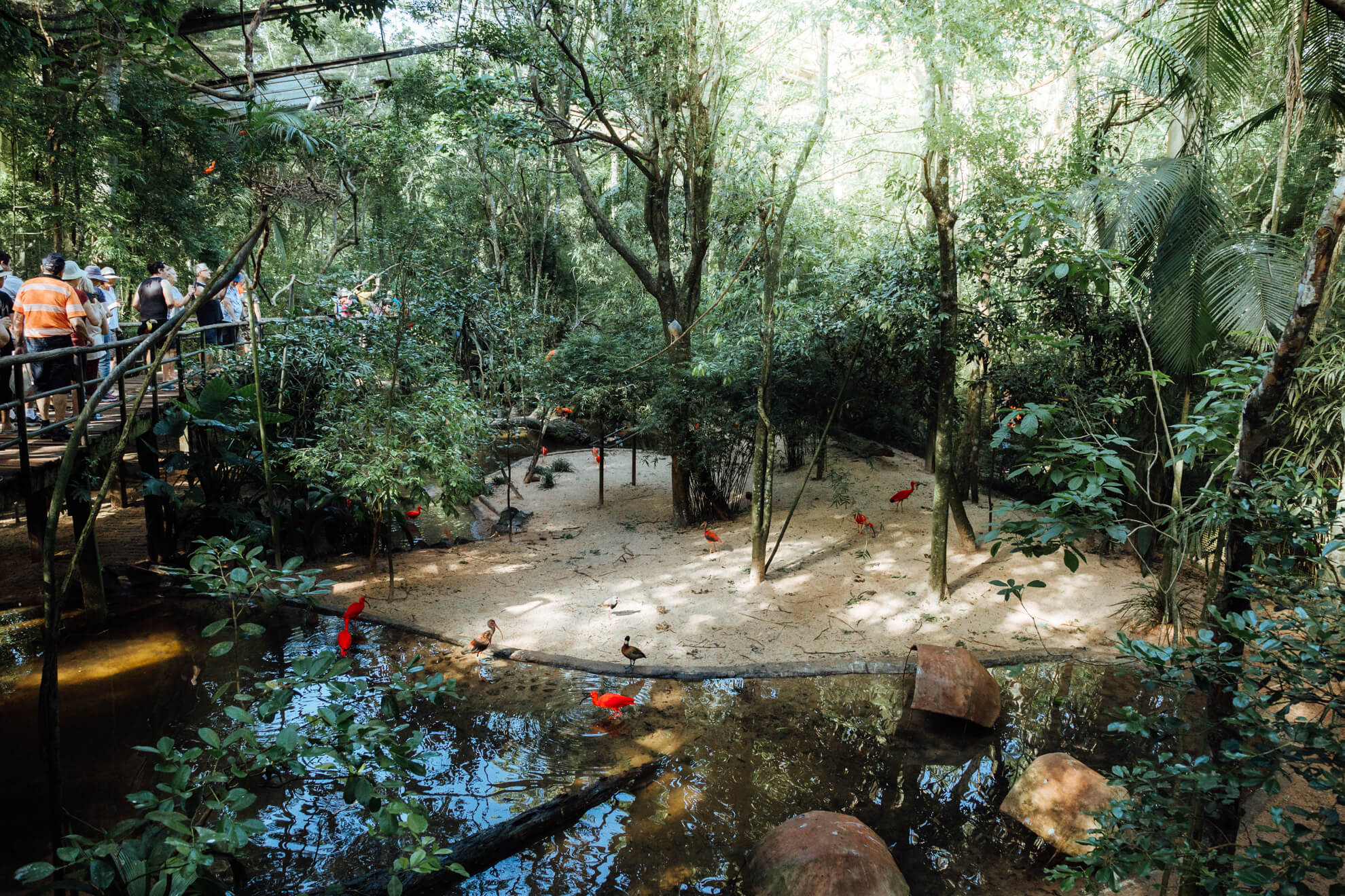 Parque das Aves, Foz do Iguaçu | Aves de Rios e Mangues