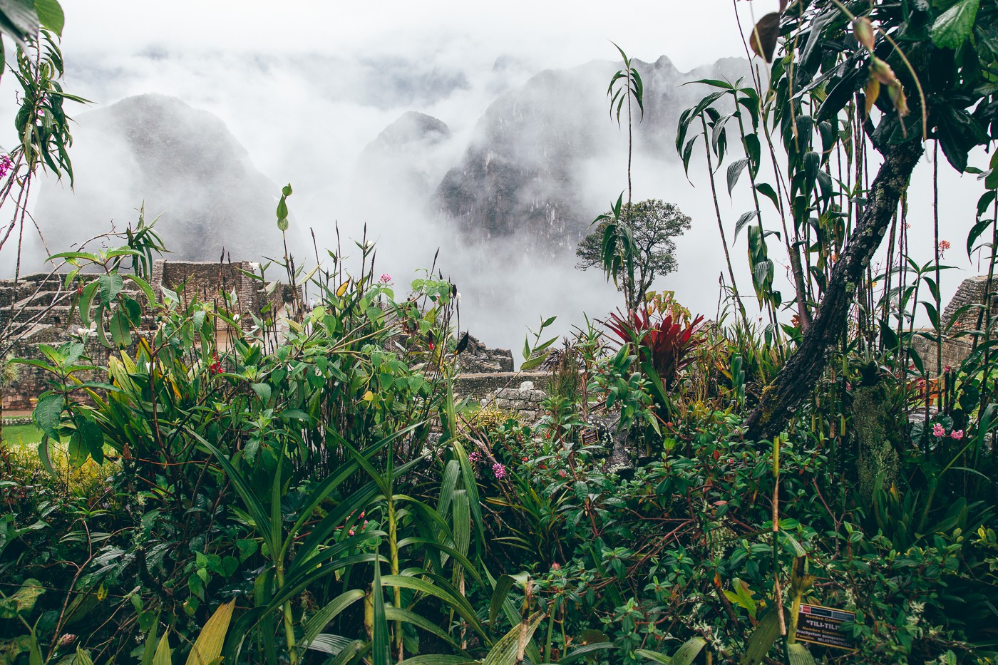 Um dos jardins de Machu Picchu