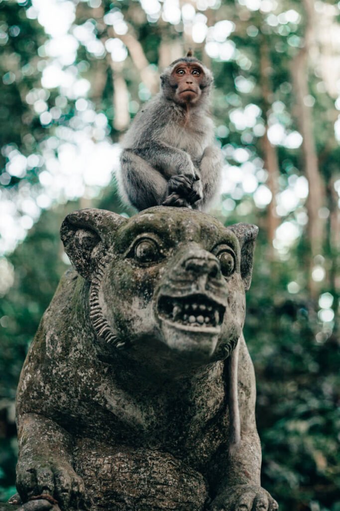 Monkey Forest - macaco sobre uma estátua