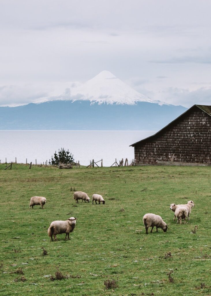 Puerto Varas: Paisagem Linda com o Osorno ao fundo