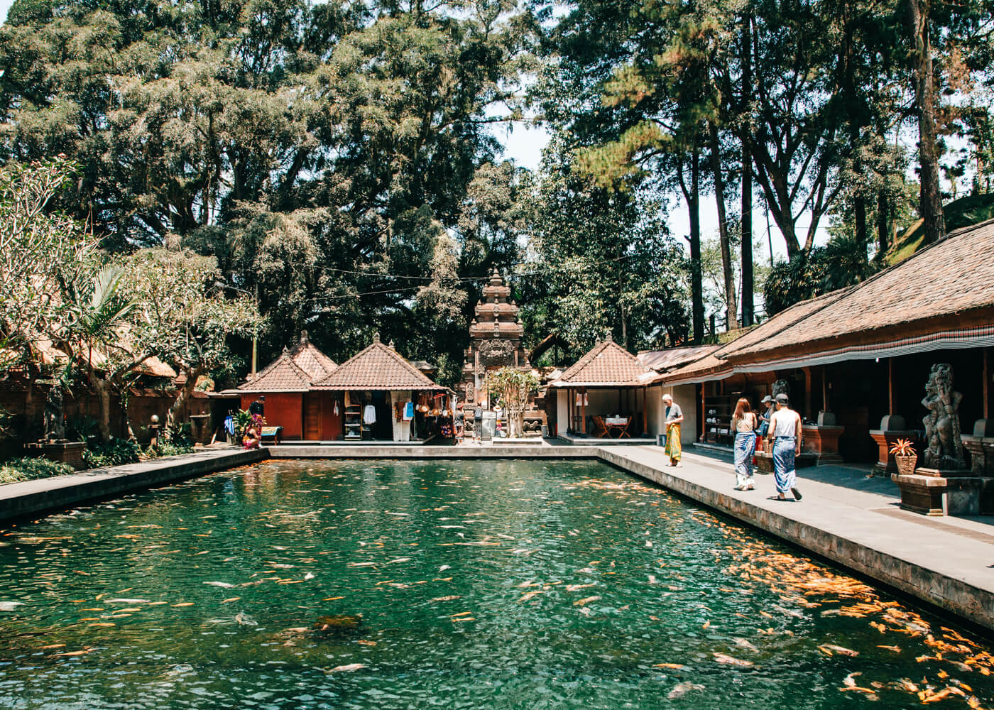 Templo Tirta Empul - Ubud - Bali - Indonésia | Piscina com carpas
