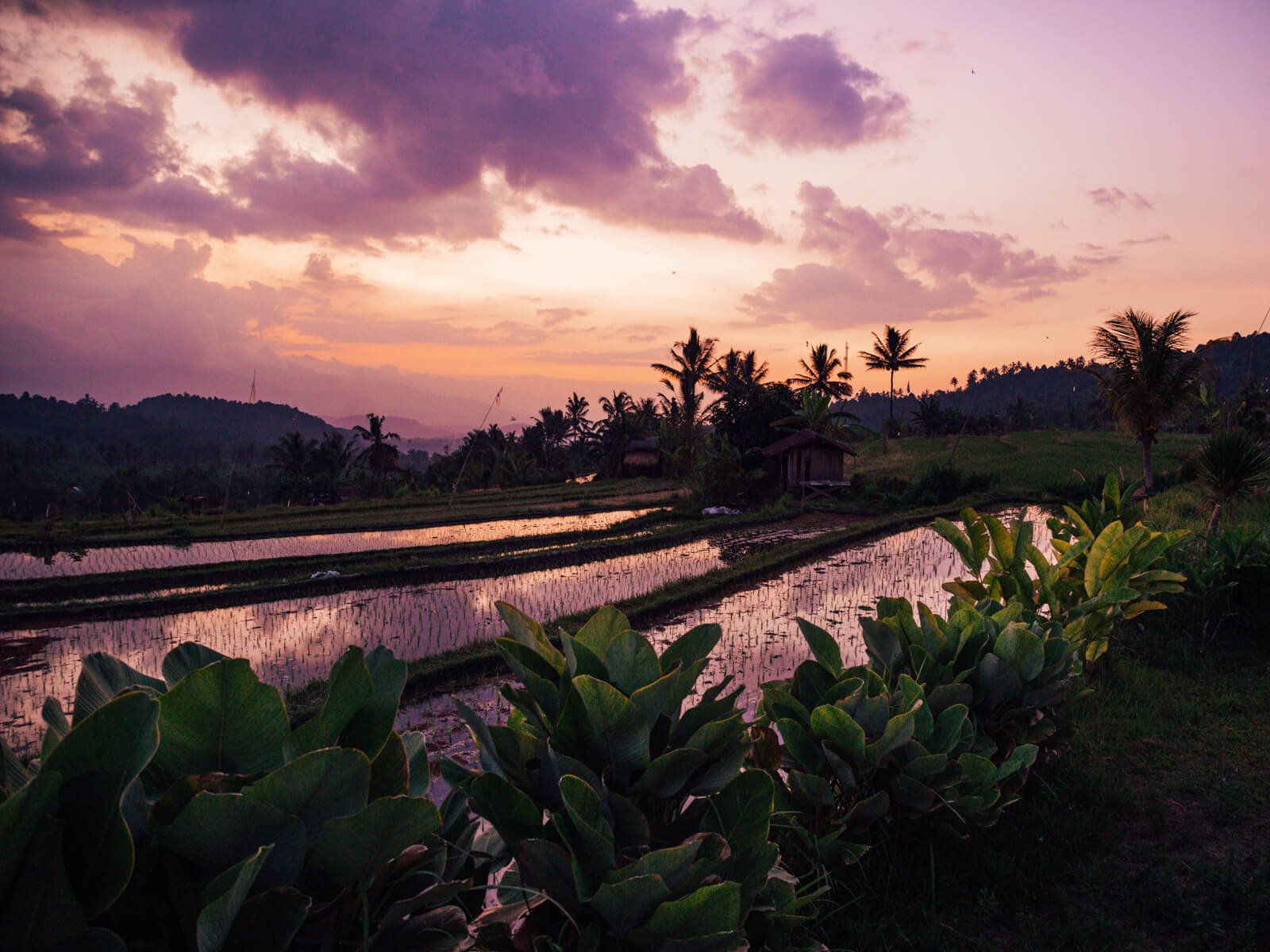 Onde ficar em Bali - Entardecer nos terraços de arroz em Munduk