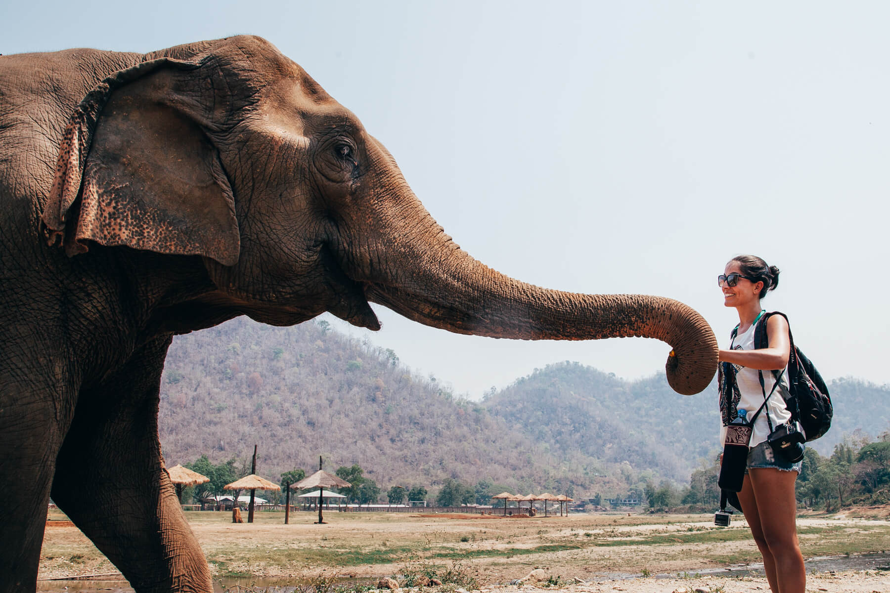 Elephant Nature Park, Chiang Mai, Tailândia - Passeio de um dia