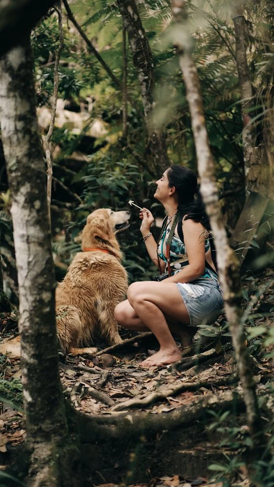 Imagine acordar em meio à natureza, tomar um café da manhã caprichado e, logo depois, calçar os tênis e sair para explorar trilhas dentro da própria pousada em que você está.  Na Sete Quedas, em Carrancas, isso faz parte da experiência! O circuito de trilhas passa por cachoeiras escondidas e privativas, piscinas naturais de água cristalina e caminhos rodeados por mata atlântica preservada.  Cada detalhe por lá foi planejado pra que você curta tudo no seu tempo, com calma. É só relaxar, se conectar com o ambiente e deixar a natureza fazer parte da sua rotina, do jeito mais leve possível.  @pousada7quedas